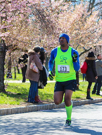 Cherry Blossom 10k Run-75