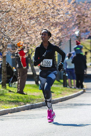 Cherry Blossom 10k Run-136