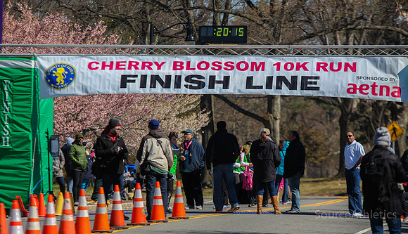 Cherry Blossom 10k Run-11