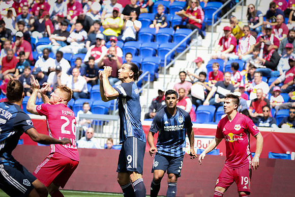 Redbulls_-8