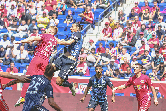 Redbulls_-11