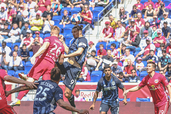 Redbulls_-12